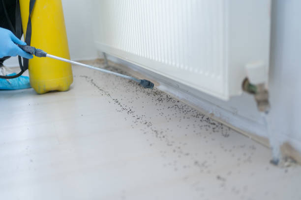 Best Affordable Pest Control Services  in Fearrington Village, NC